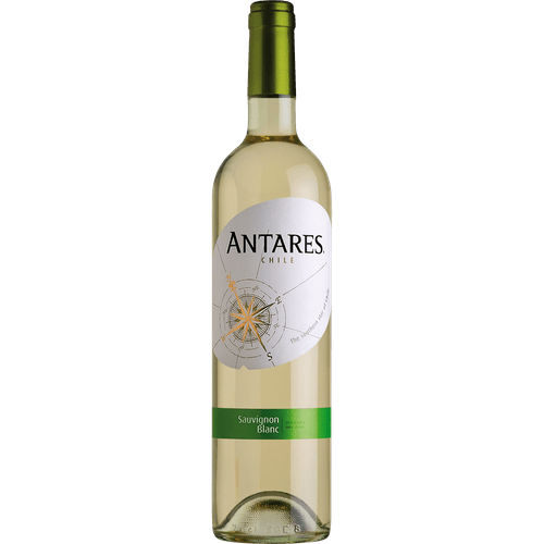 Vinho Branco Chileno Antares Sauvignon Blanc 750ml