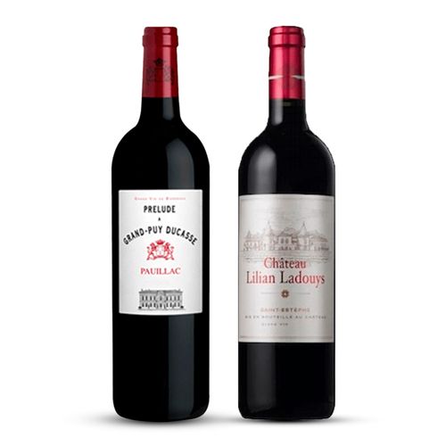 KIT BOURDEAUX PAUILLAC & ESTEPHE